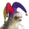 kakaowykanibal