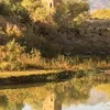 habiba.dahbi5