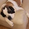 pouf3253