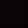 elchai_b.s