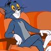 user8528624811136