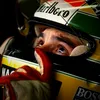fan_de_fernando_alonso14