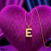 establish008