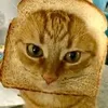 toastcat27