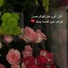 user61179804240380
