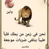 user27363492619440