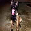sizar.36