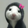 y.__.8u