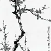 maja____________09