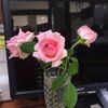 elisa11_aa