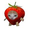 kill_vv7