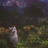 videoruv0