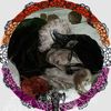mylittledarkparad1se