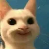 quynhnhu_tv
