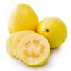 guayaba_forever