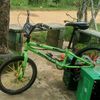 smael897