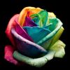 flowerpowerful00