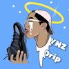 Ynz