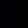 panzz_288
