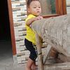 lestaryetary