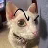 connhovoduyen_3