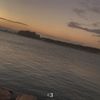 halaalhariri7