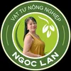 phanthuoc_ngoclan
