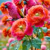 md.manik4148