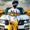 showzab.mehdi