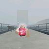 hypixel.steve.her6
