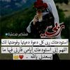 .qlbaboa426
