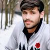 terrali6