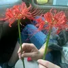 feffla_kemma1