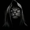 shakil.ahmed4547