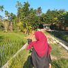 iizza335