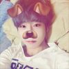 vhs_shays
