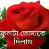 user8588483048487
