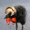 himakaron