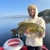 noahfishesforfish