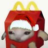 yearcat5