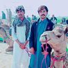 user3081118734052