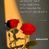 user5651036343628