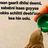 dhoksadhaa