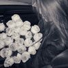 aselek_071