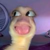 whossnda4