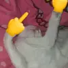 tmeohehe