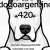 dogoargentino420
