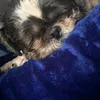 anthony.lunn02