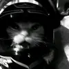 catt_bgtt28
