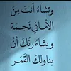 ahmadsaad5484